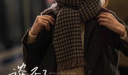 王大锤爆料情人节视频播放,揭秘甜蜜瞬间